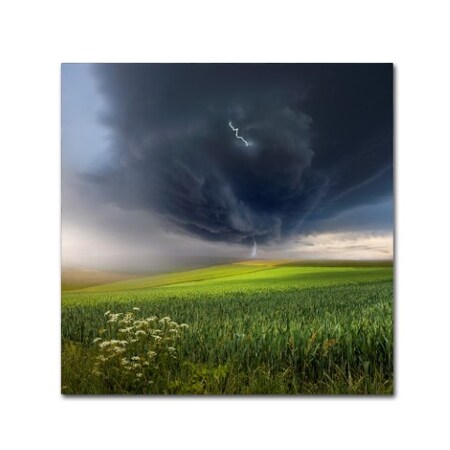 Trademark Fine Art Franz Schumacher 'June Storm' Canvas Art, 18x18